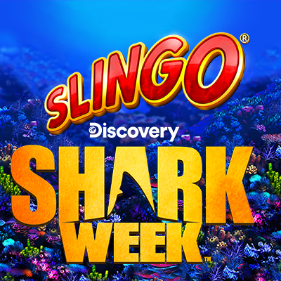 Slingo Shark Week